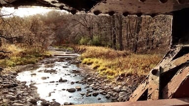 Hiking the large forests in Autumn.