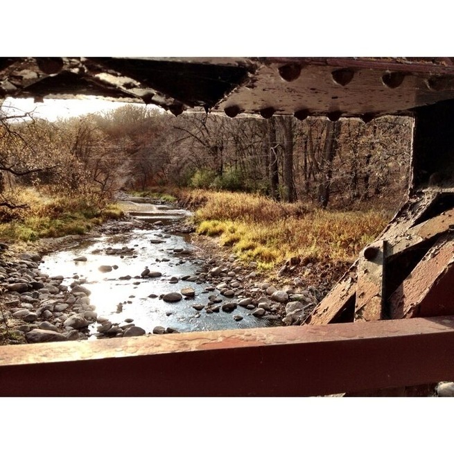 Hiking the large forests in Autumn.