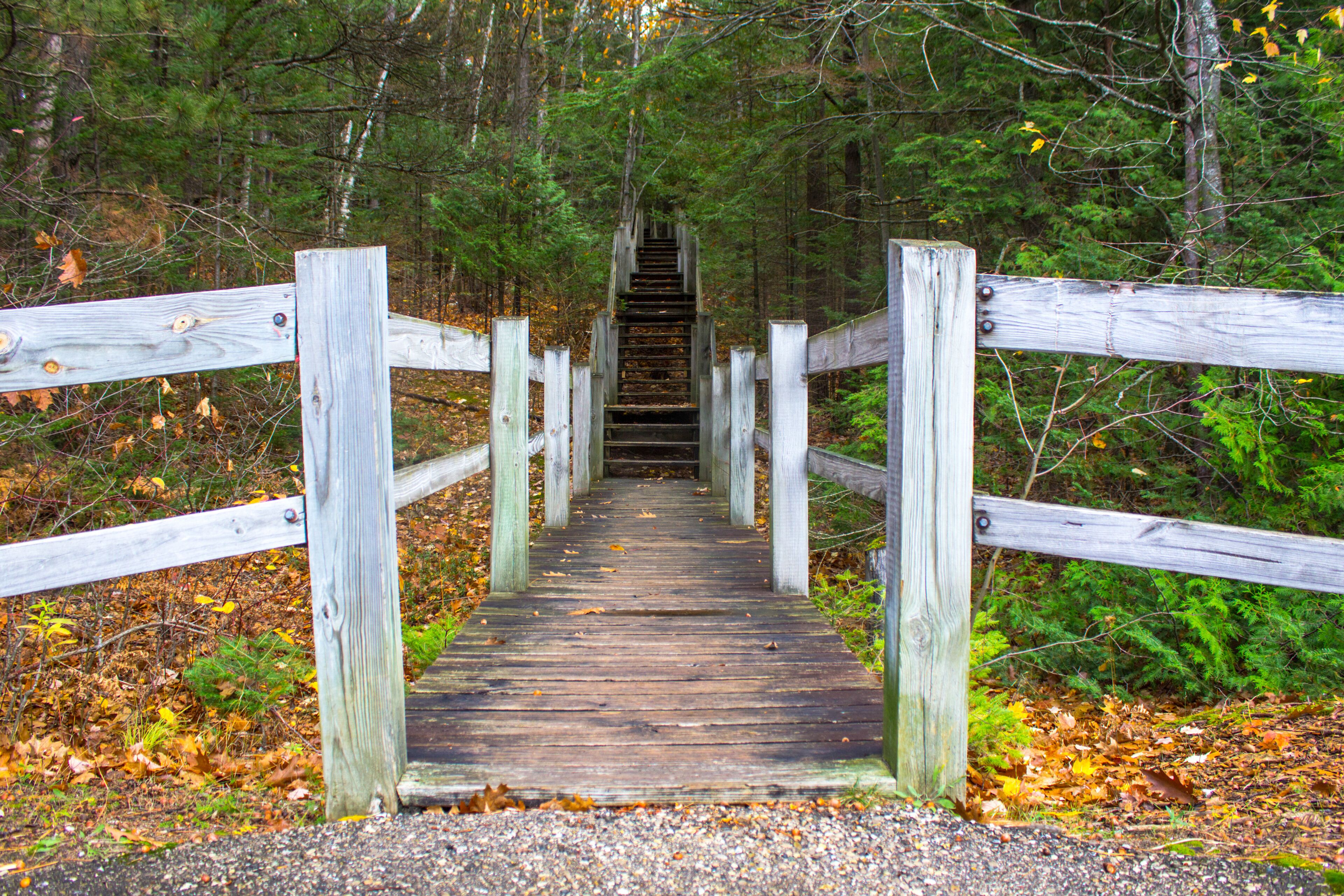 Staircase In The Woods. Wooden staircase leads to the top of Old Baldy located in Petsokey State Park.