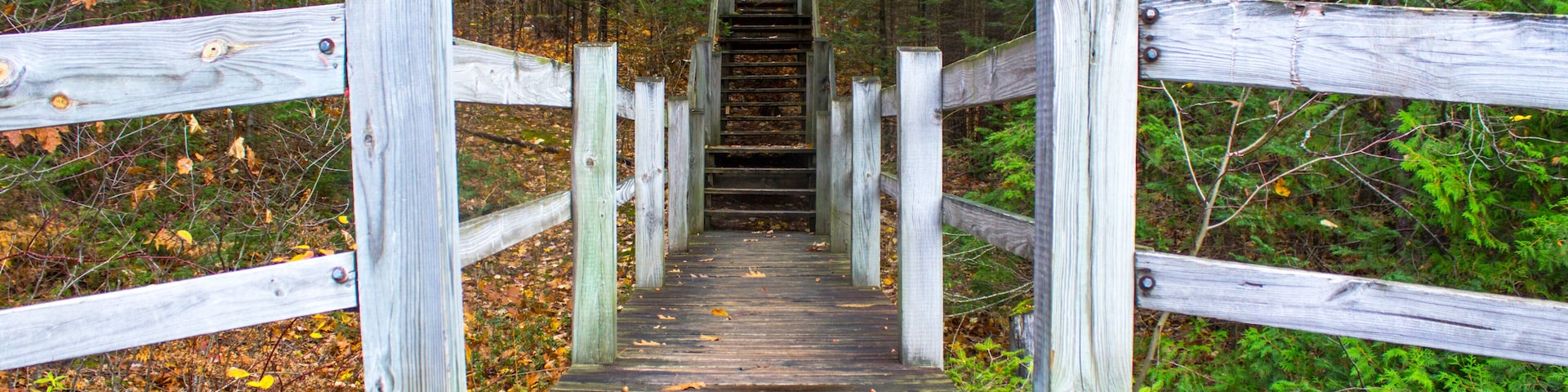 Staircase In The Woods. Wooden staircase leads to the top of Old Baldy located in Petsokey State Park.