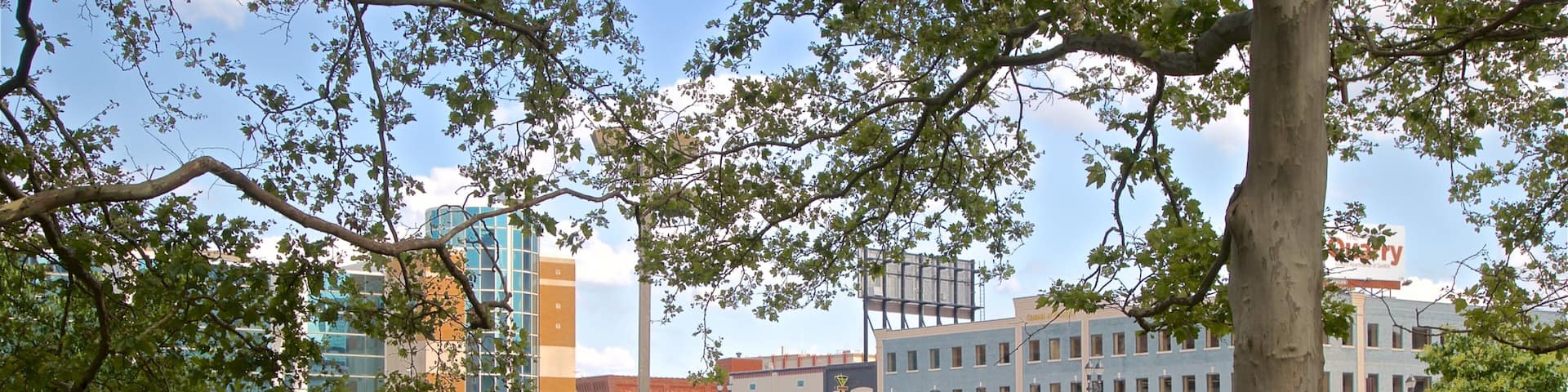 A park with a bench, a bridge, and buildings in the background.