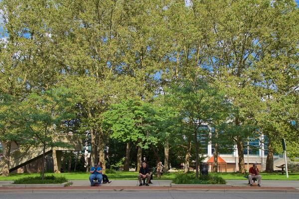 Wentworth Park which includes a park as well as a small group of people