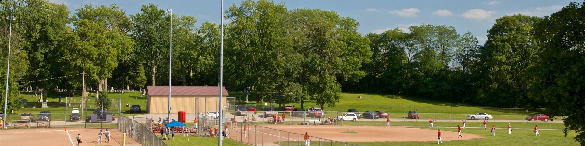Parc Hoyt montrant parc et épreuve sportive aussi bien que petit groupe de personnes