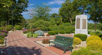 Hoyt Park featuring flowers and a garden