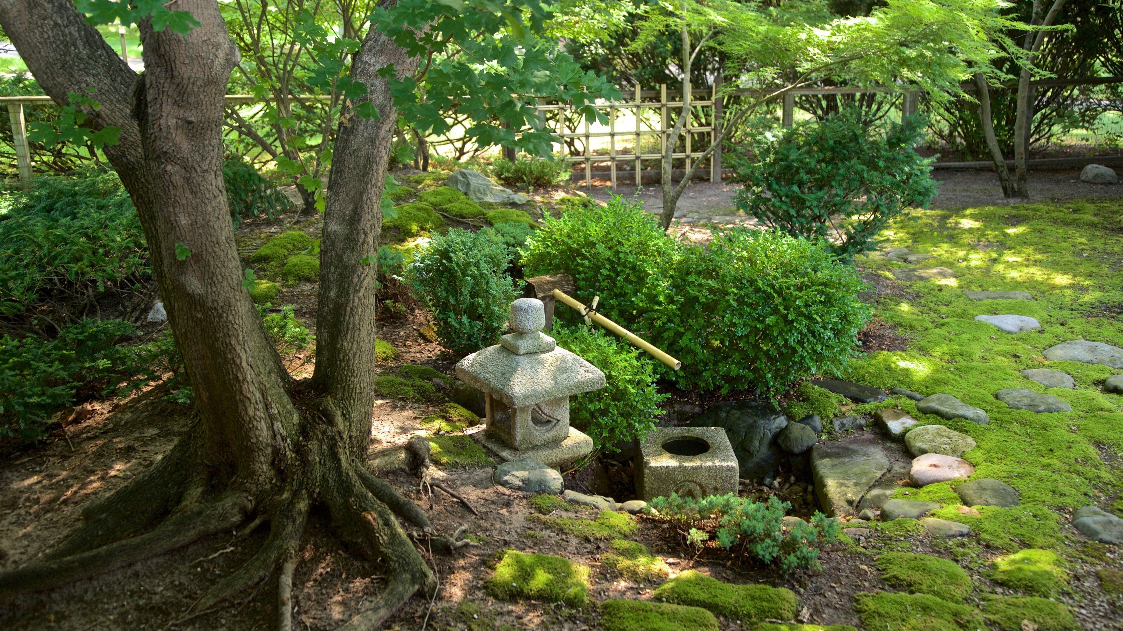 Japanese Cultural Center featuring a garden