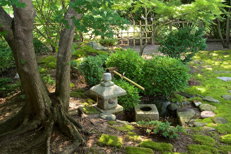 Um jardim tranquilo com chão coberto de musgo, um candeeiro de pedra e uma cerca de madeira ao fundo.