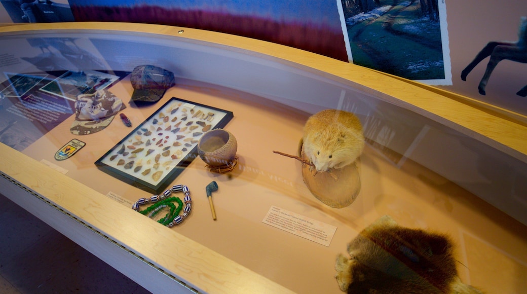 Oficina del turismo del condado de Dorchester