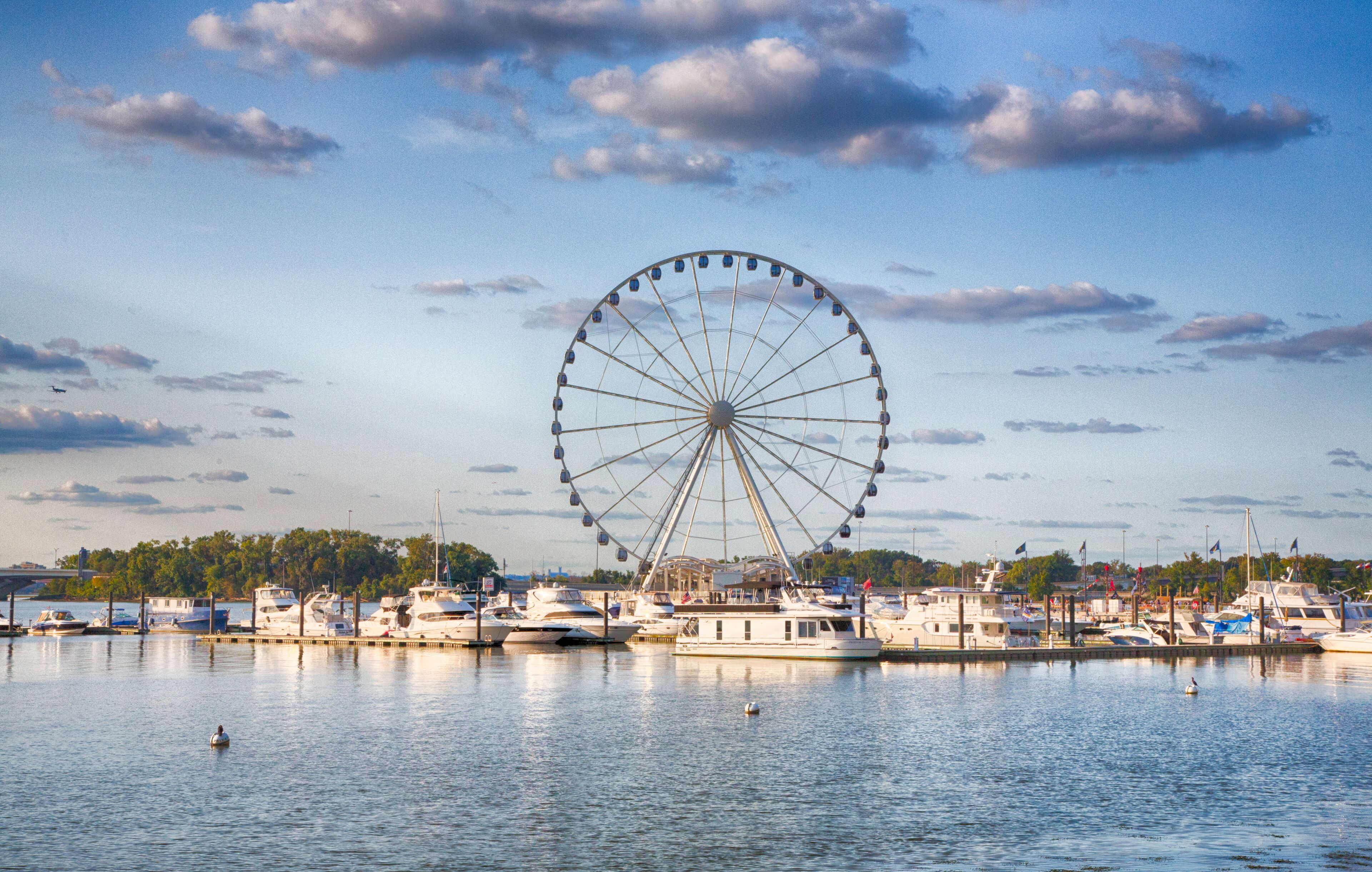 The Capital Wheel