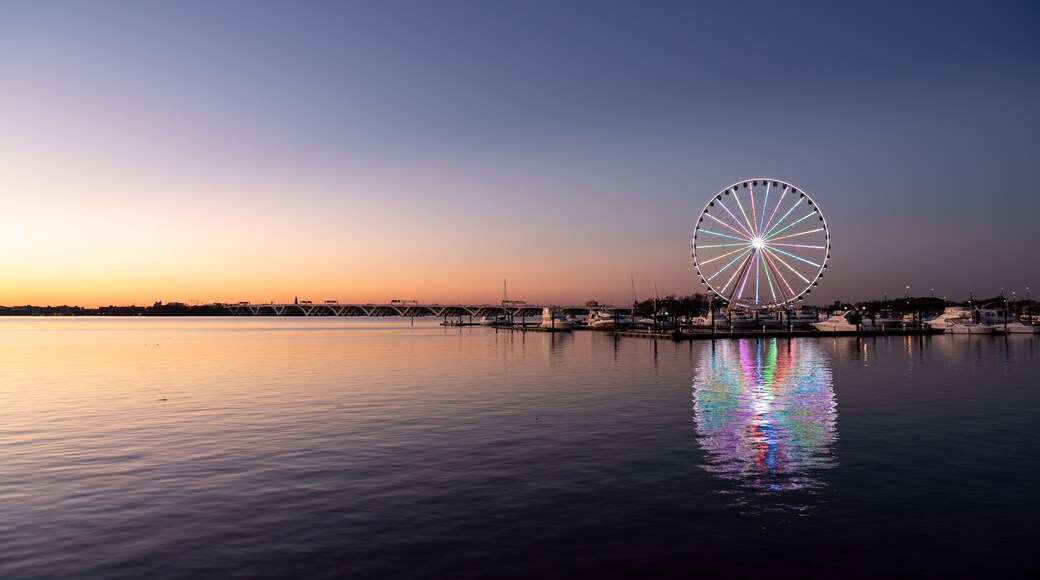 Capital Wheel
