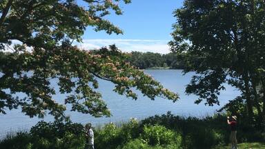 Picturesque plantation on the water in Maryland.