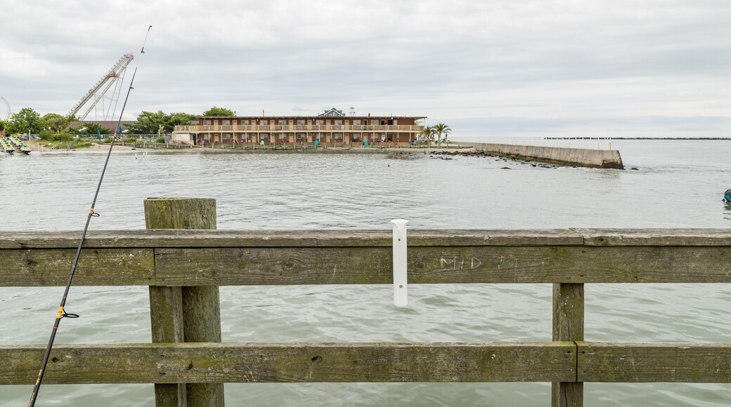 Oceanic Fishing Pier