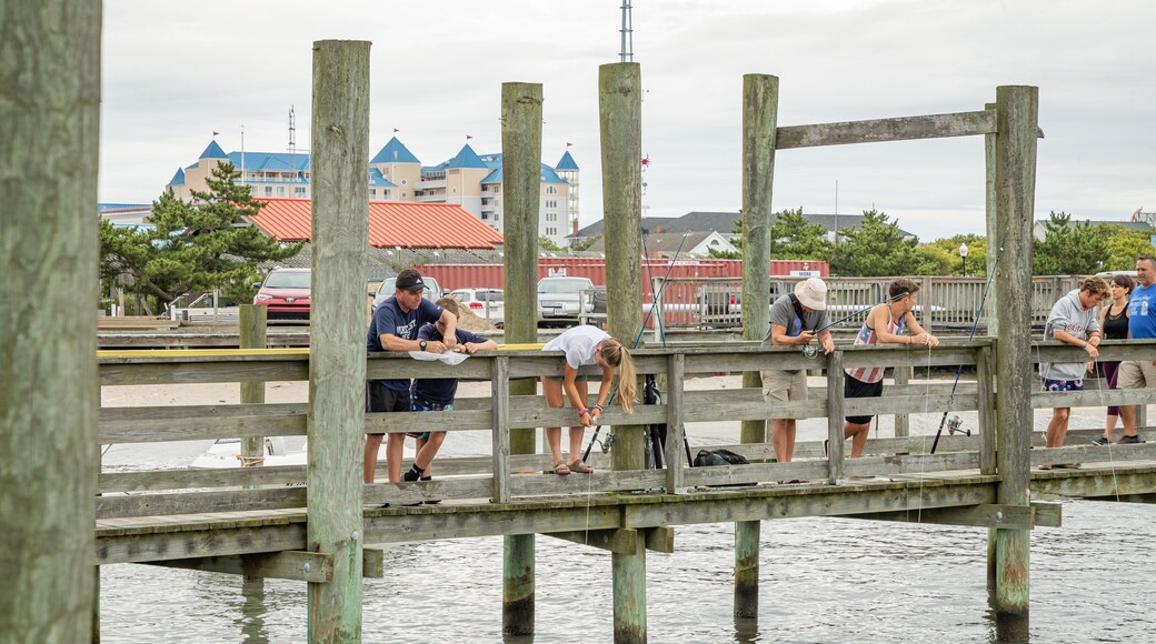 Oceanic Fishing Pier