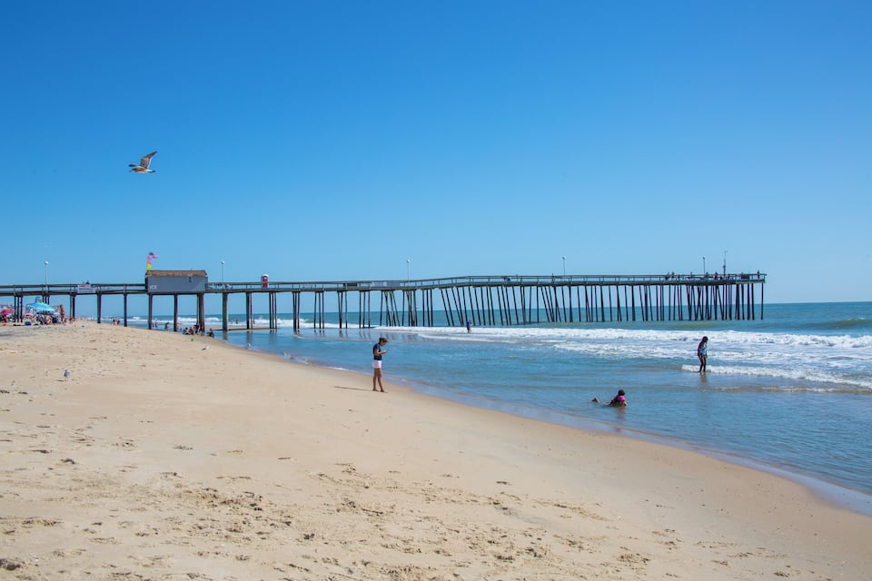 A beach with a pier extending into the ocean, people walking and swimming, and a seagull flying overhead.