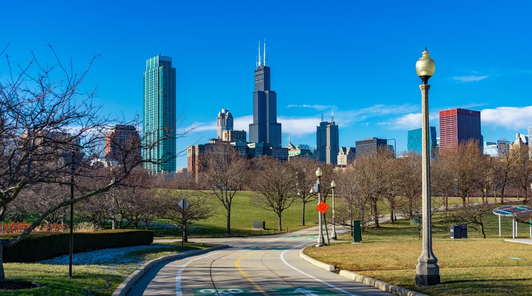 Chicago Lakefront Trail with Skyline