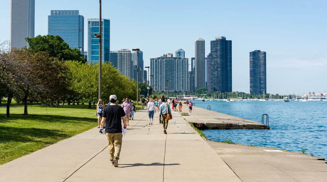 Chicago Lakefrount