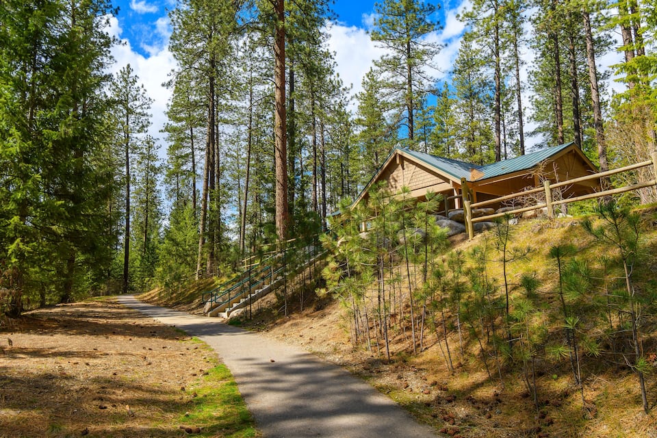 A forested area with a wooden cabin and a paved path.