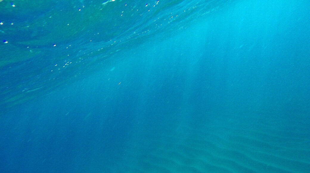 Hawaii's blue waters are absolutely amazing. Photo taken off the west coast of Oahu #hawaii #oahu #ocean #blue