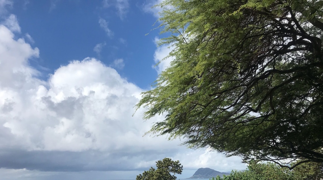 Best snorkeling around- Electric Beach. Look for the bubbles off shore.