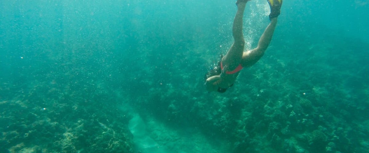 Searchin for turtles at Kahe Point in Oahu. Such clear #blue water! #hawaii