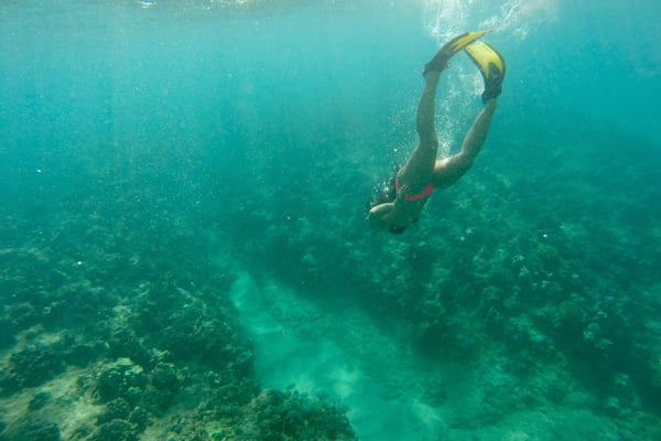 Searchin for turtles at Kahe Point in Oahu. Such clear #blue water! #hawaii