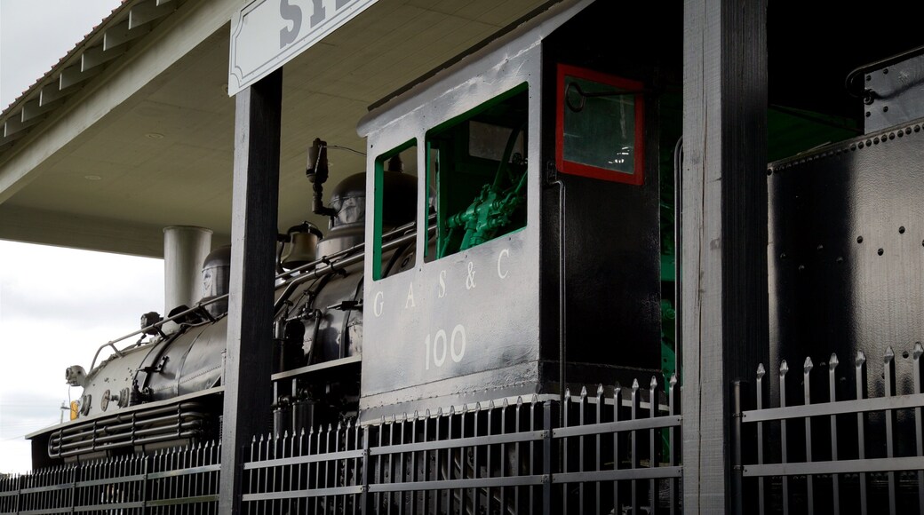 Locomotora a vapor Ole Engine 100 ofreciendo elementos del patrimonio y artículos de ferrocarril