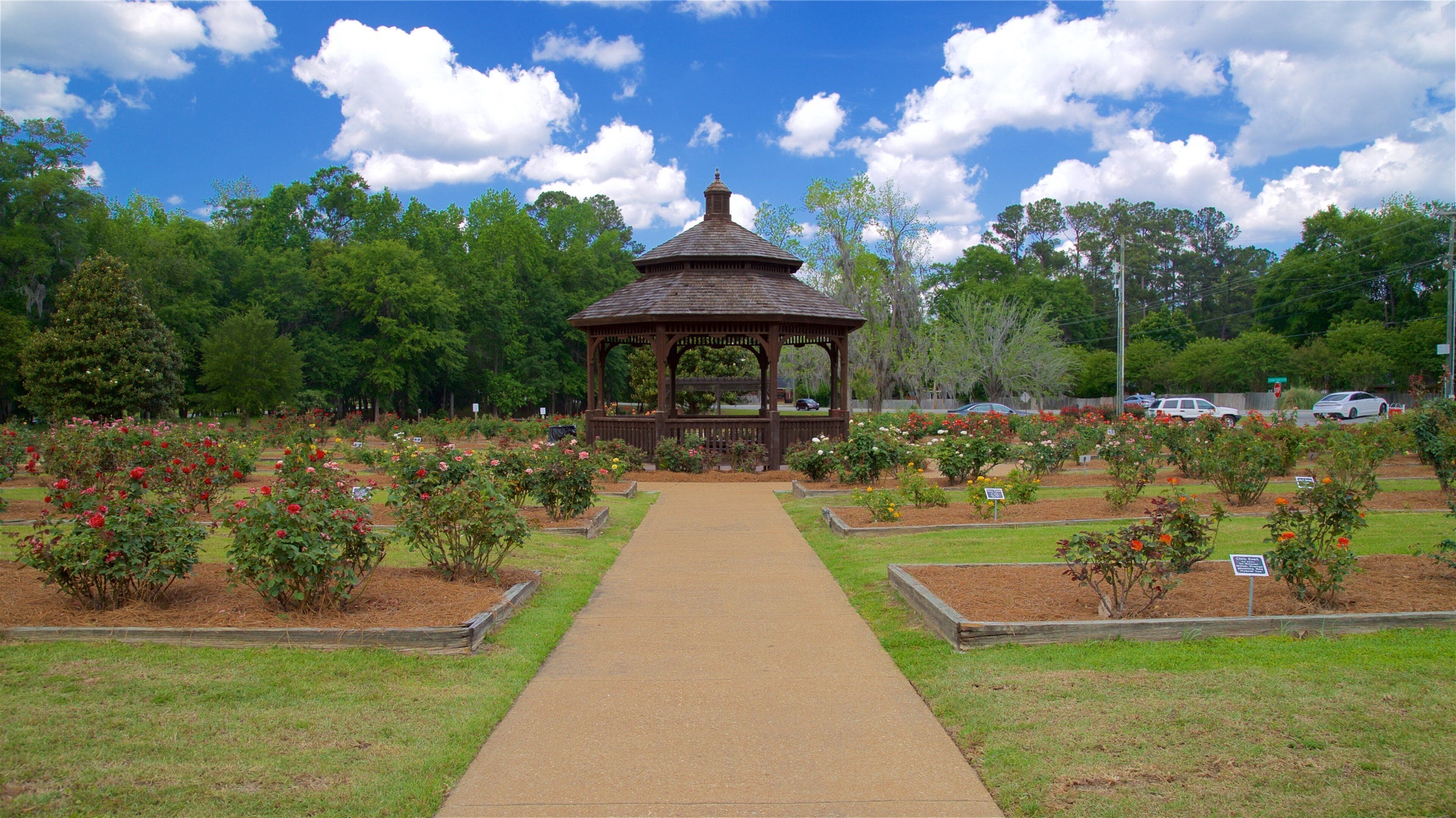 Jardín de rosas de Thomasville mostrando un jardín y flores
