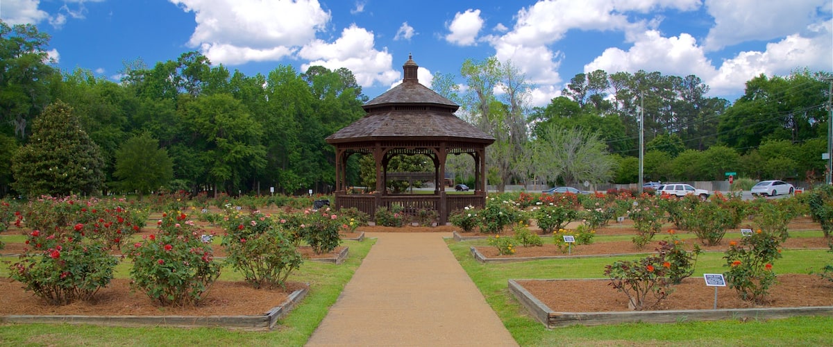 Jardín de rosas de Thomasville mostrando un jardín y flores