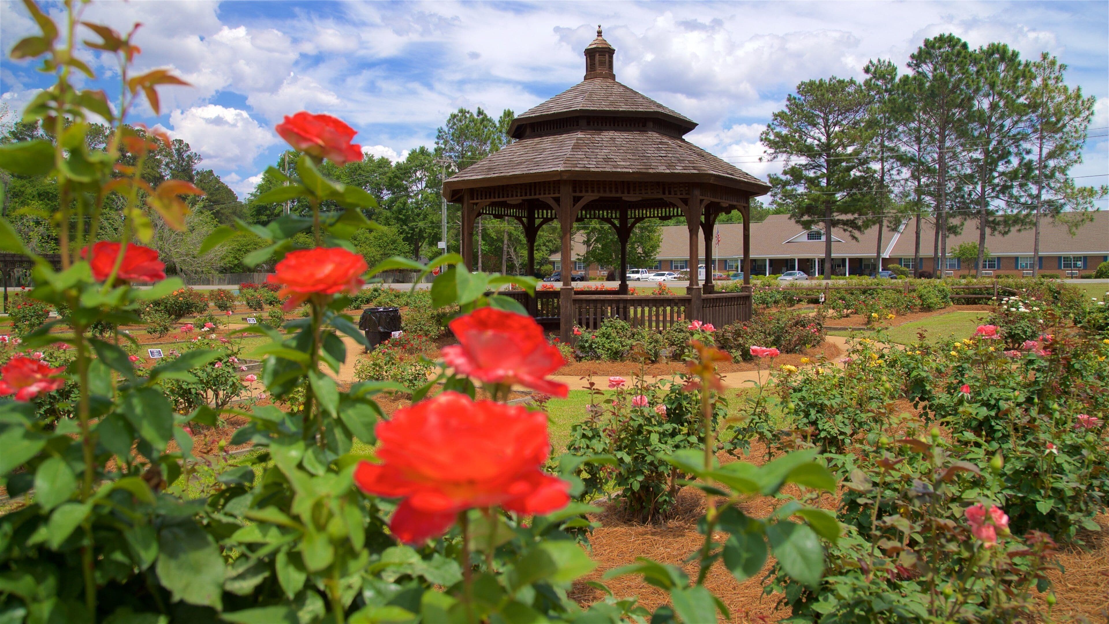 Thomasville Rose Garden featuring wild flowers and a garden