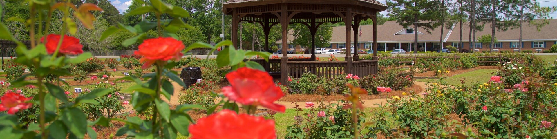 Thomasville Rose Garden mostrando flores silvestres y un parque
