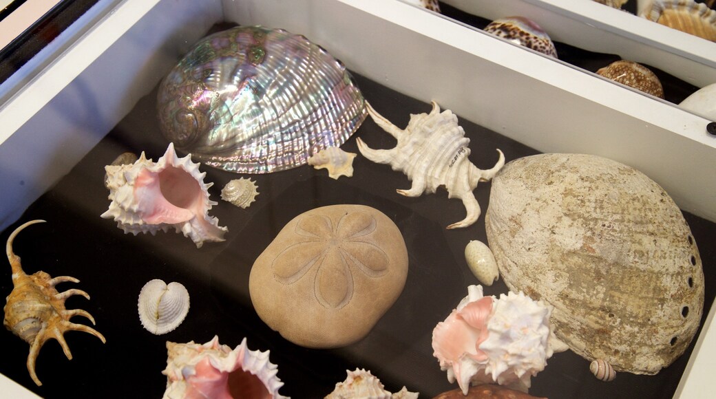 Musée Thronateeska Heritage Center