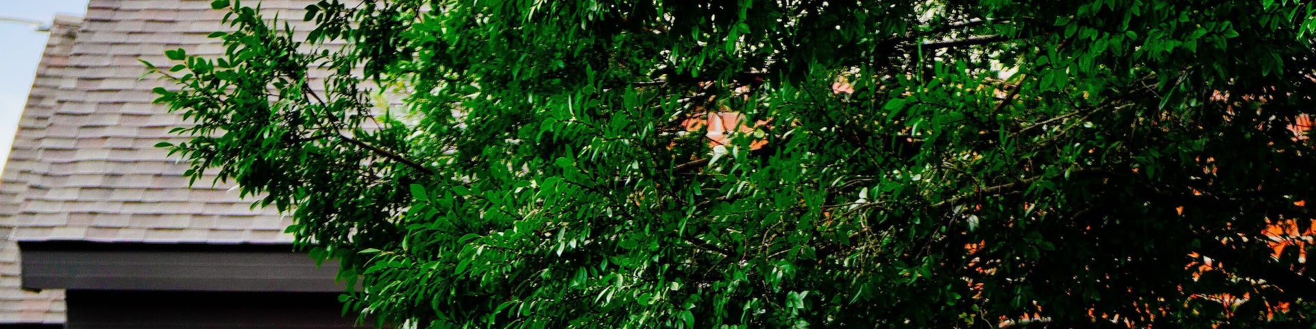 Valdosta, Georgia, USA - 07 19 2024: Georgia state welcome center and highway rest area landscape