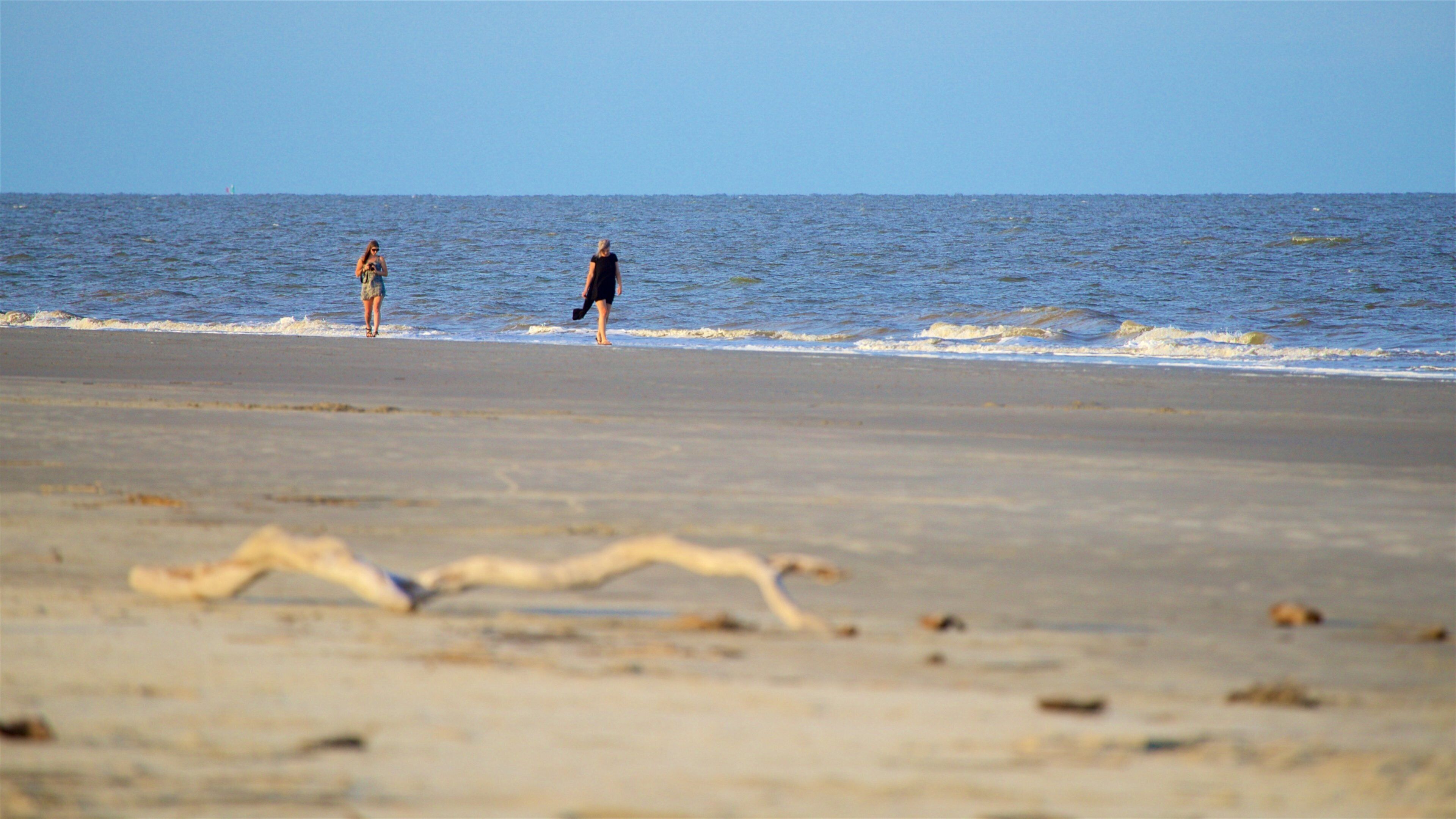Great Dunes Park inclusief een zandstrand en algemene kustgezichten en ook een stel