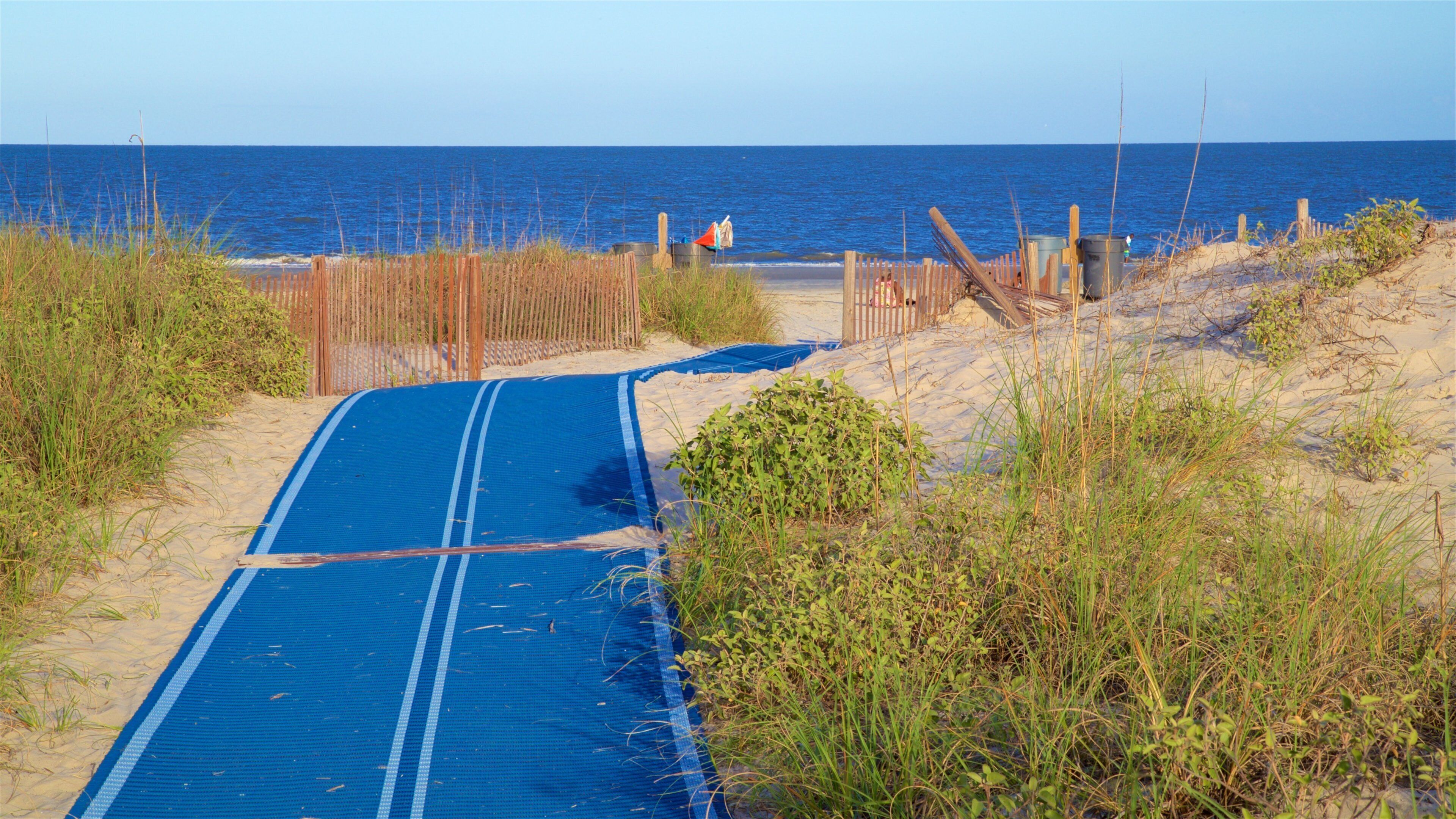A beach path with a blue mat leading to the sea, surrounded by sand and vegetation.