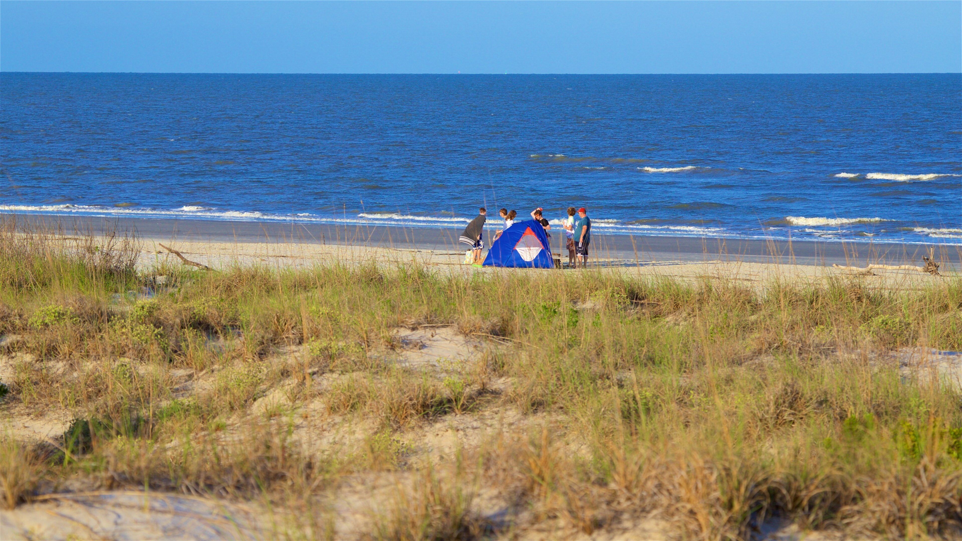 Parque Great Dunes mostrando vistas de una costa y una playa de arena y también un grupo pequeño de personas