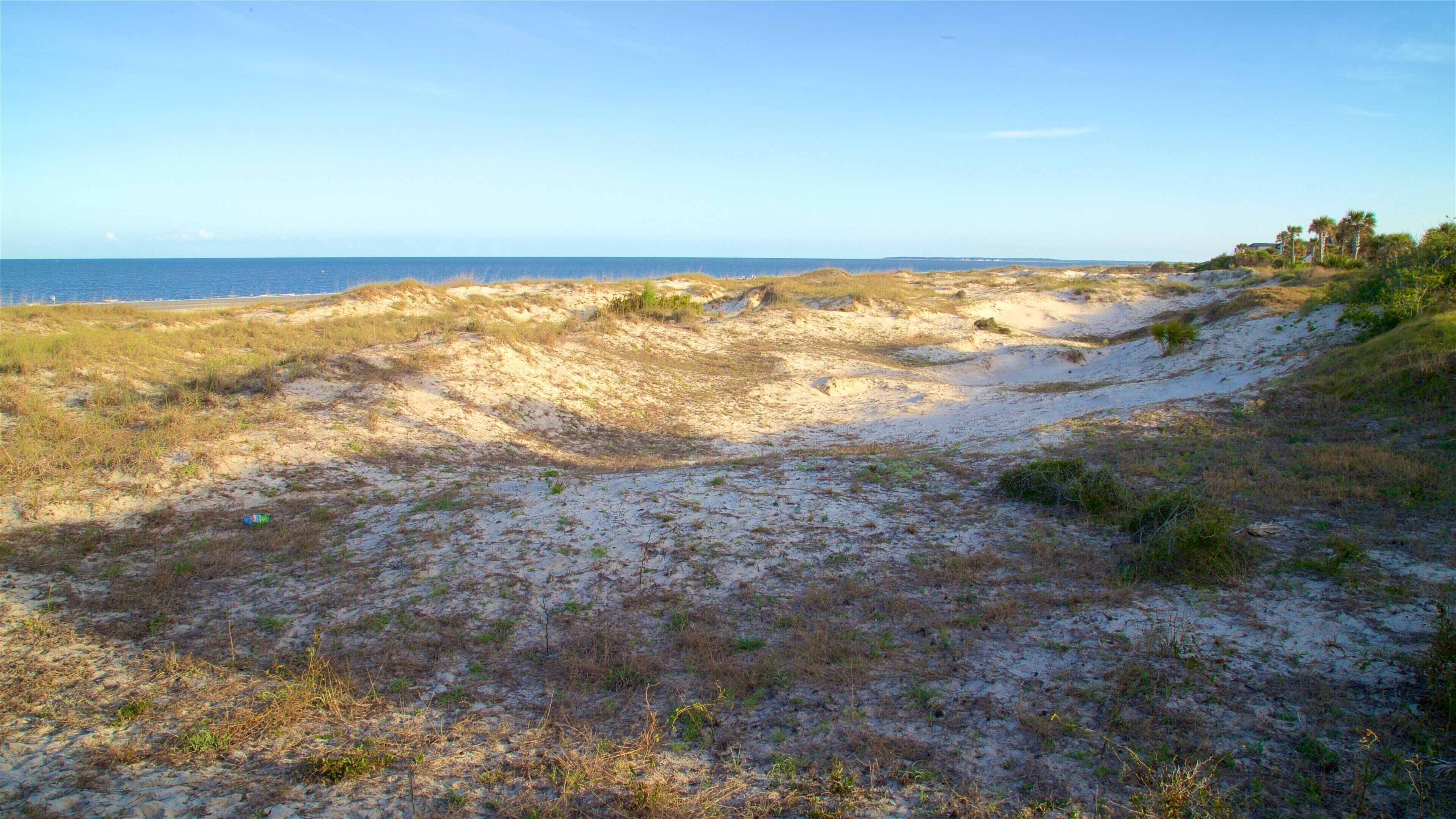 Great Dunes Park which includes general coastal views and a sandy beach