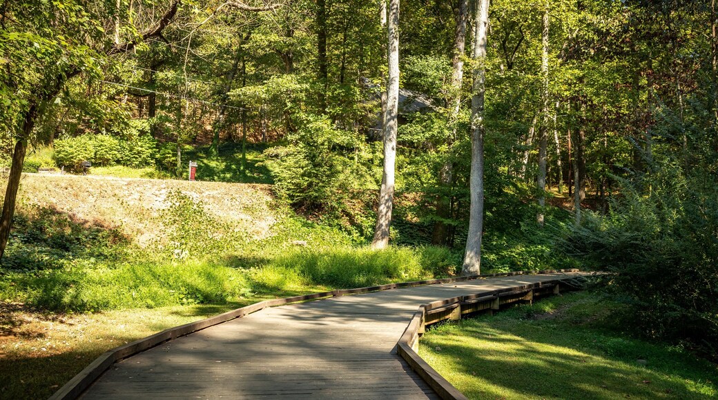 Wilshire Trails Park showing a park