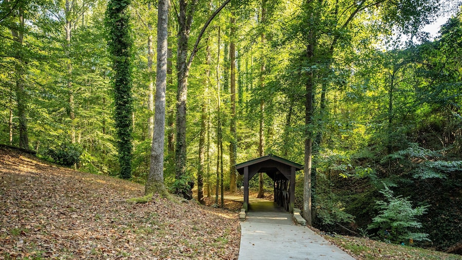Wilshire Trails Park showing a park