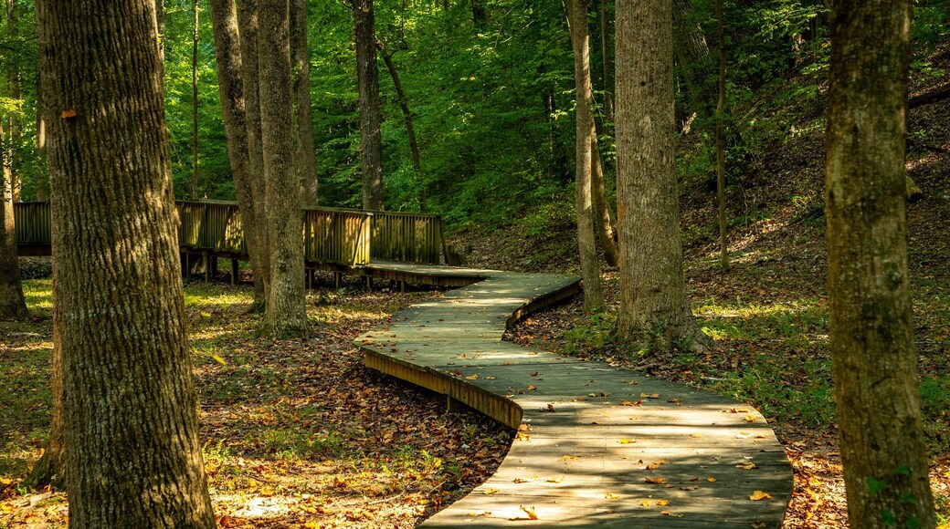 Wilshire Trails Park featuring a garden