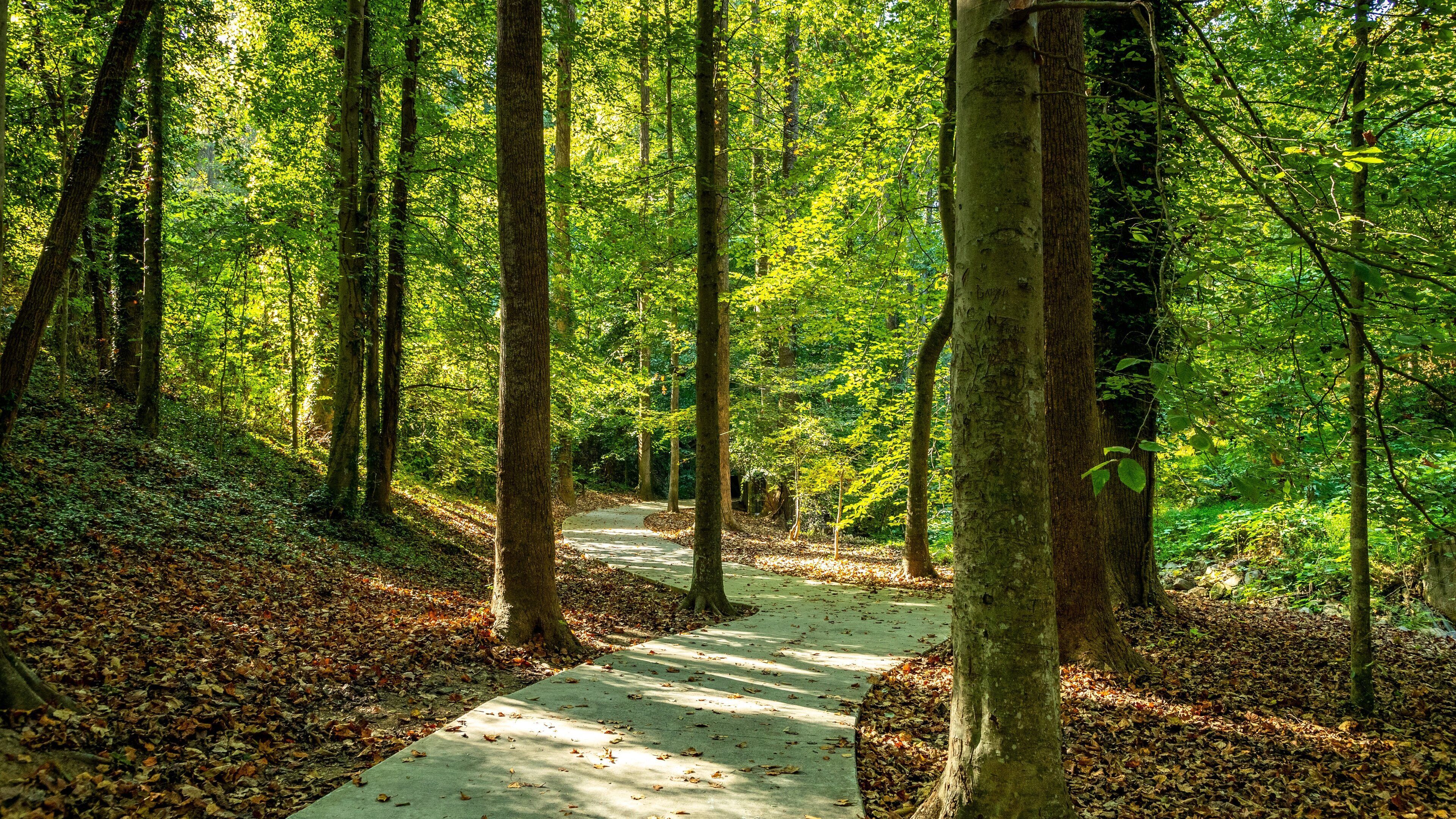 Wilshire Trails Park showing a garden