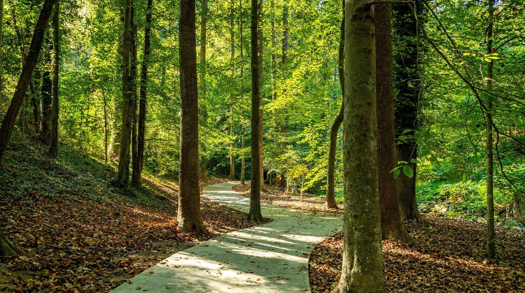Wilshire Trails Park showing a garden