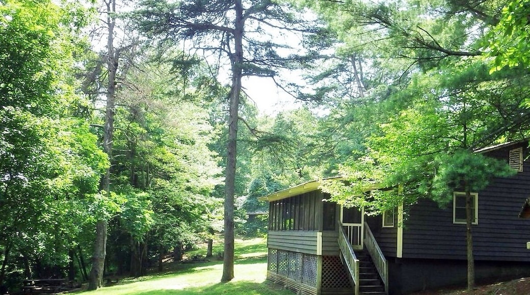 Come #camp near Amicalola Falls or stay in the cottages check for prices at the Amicalola Falls website the cottages are great shower pluming its really nice but lots of spiders lol.