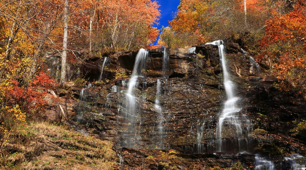 Cascadas de Amicalola
