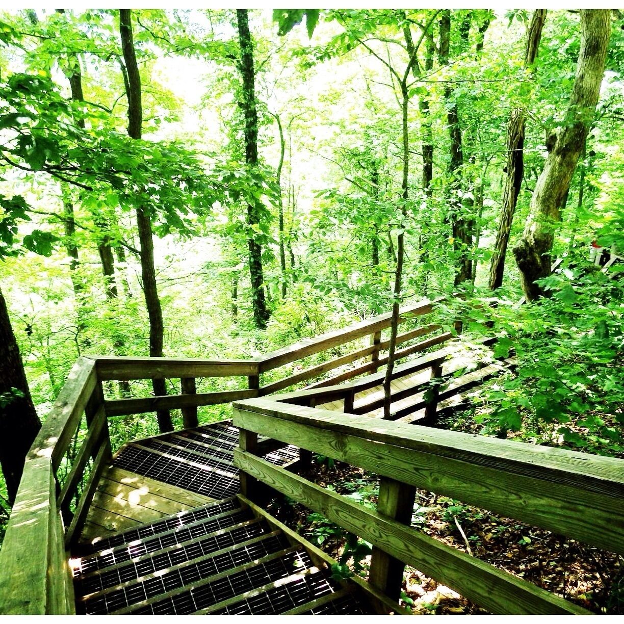 The steps down to the best view of the falls. Be prepared to come back up .