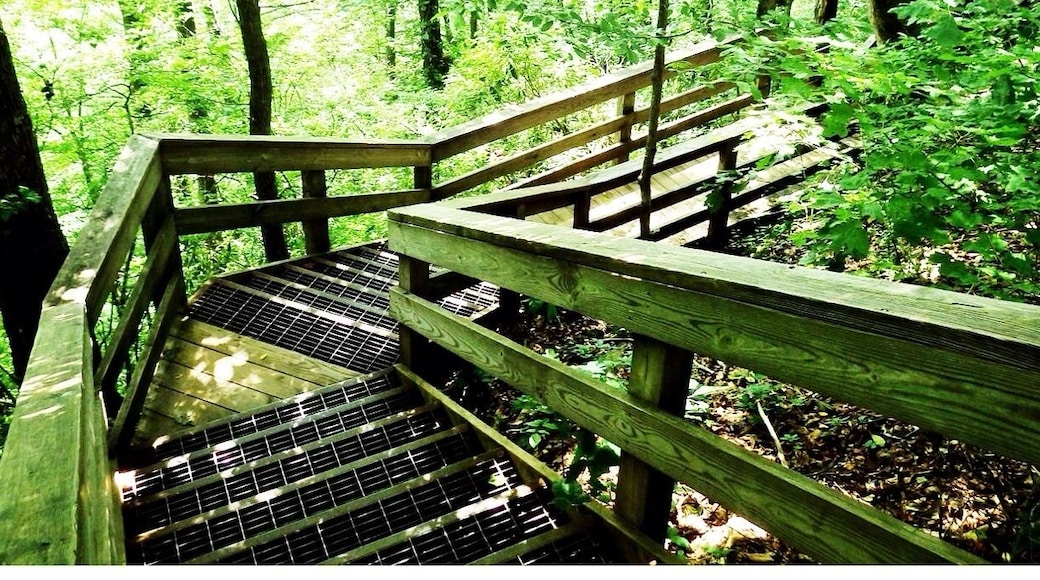 The steps down to the best view of the falls. Be prepared to come back up .