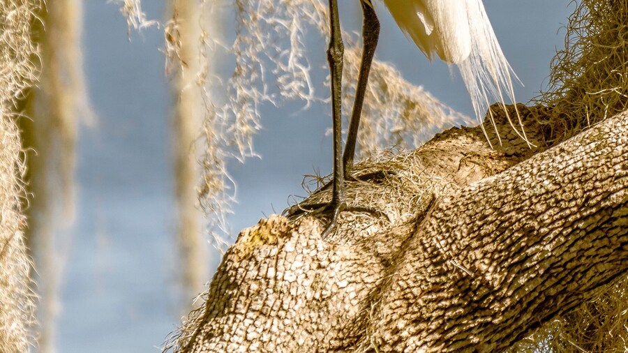 퀵 포인트 자연 보호지역