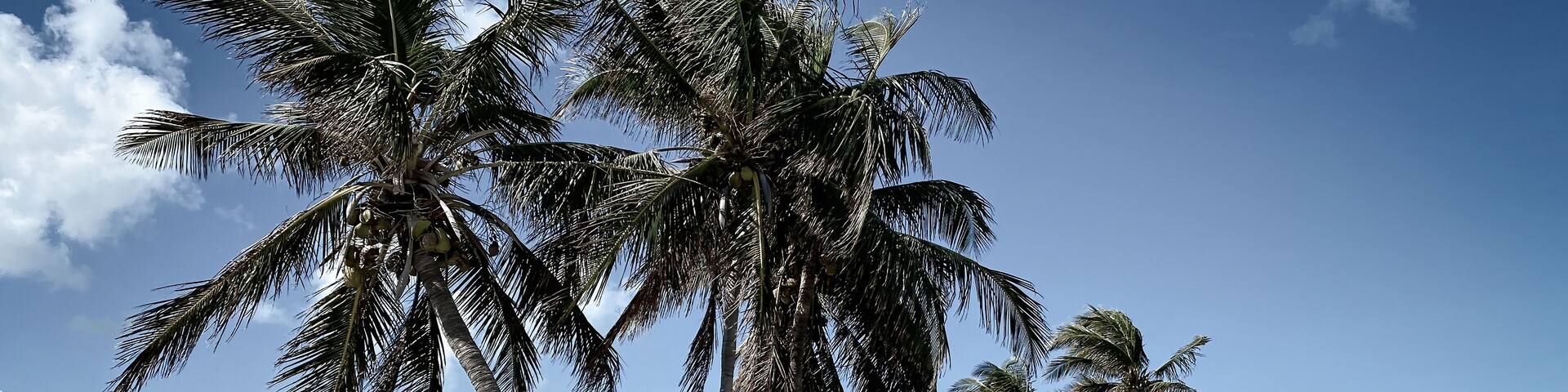Begin of Seven Mile Bridge, Florida, USA with tourist information board.