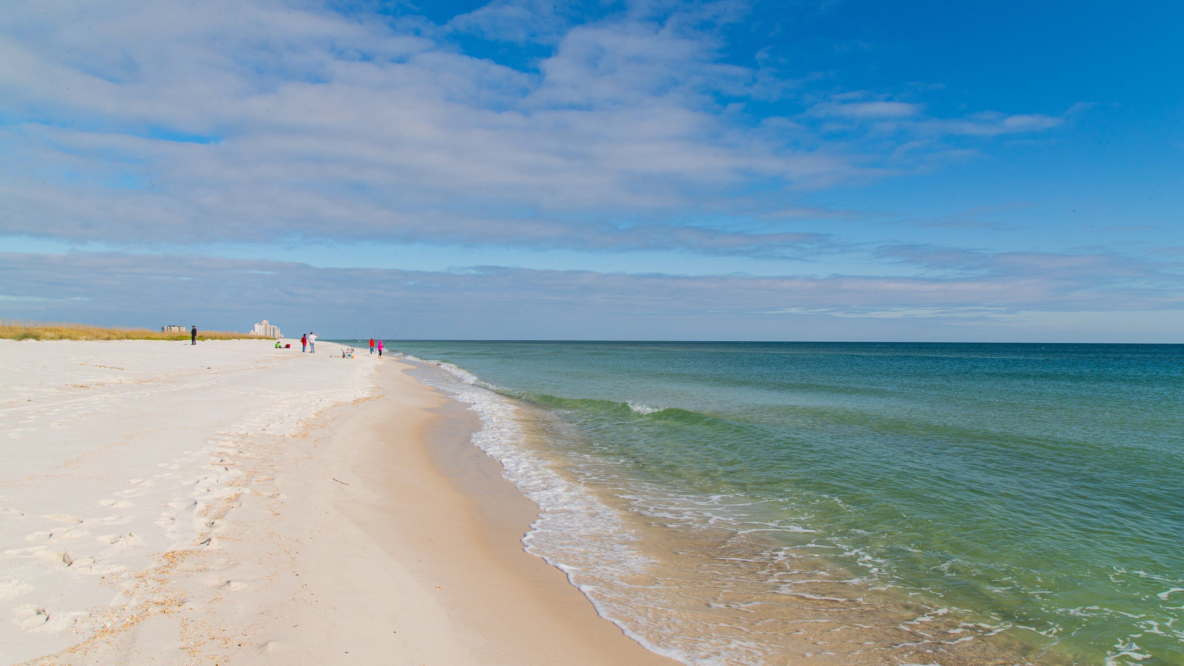 Perdido Key State Park which includes general coastal views and a beach