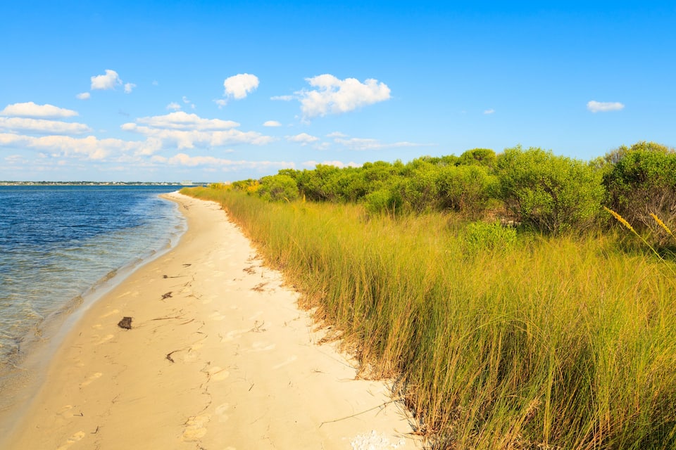 A sandy beach with clear blue water, green vegetation, and a distant shoreline.