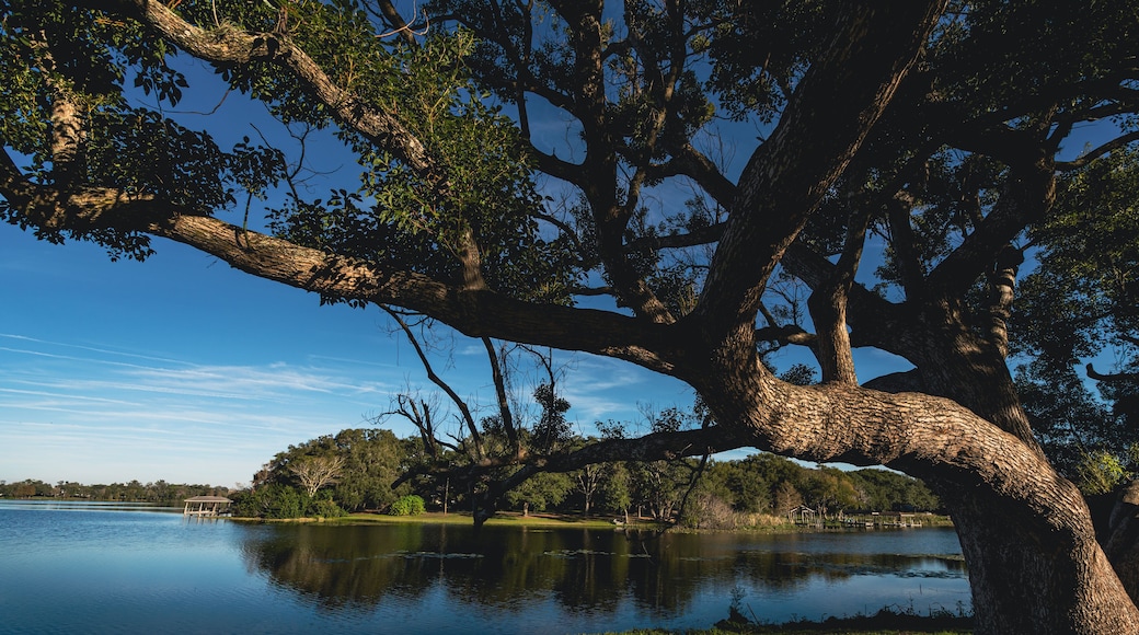 Maitland Community Park