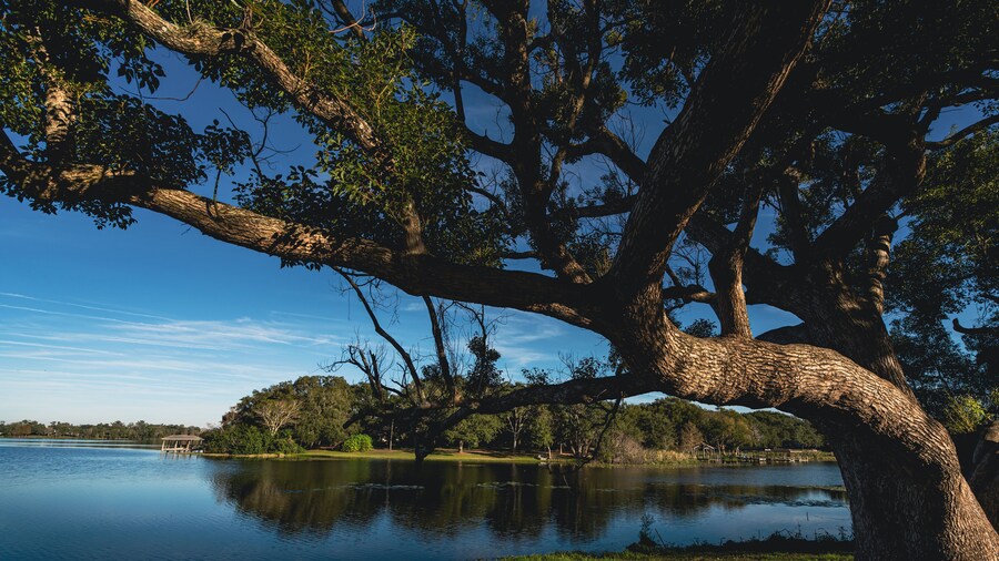 Community park on Lake Sybelia in Maitland a suburb of Orlando Florida